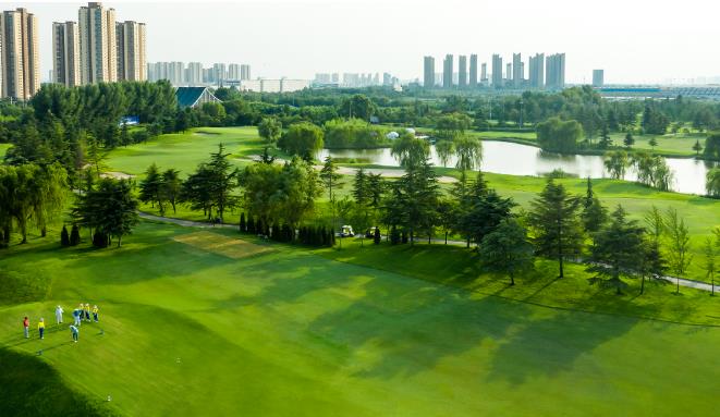 1673683924983733.jpg 1.jpg