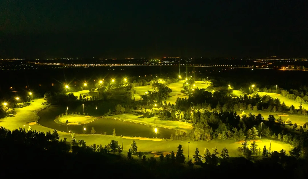 1714120385337928.jpg 640.webp.jpg